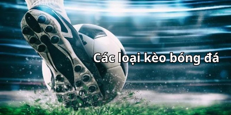 Các loại kèo bóng đá nên biết: Cược cực dễ - Thắng cực lớn