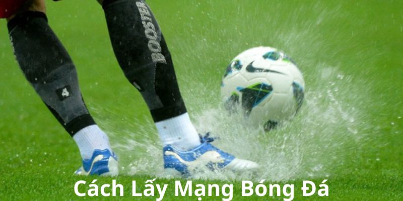 cách lấy mạng bóng đá